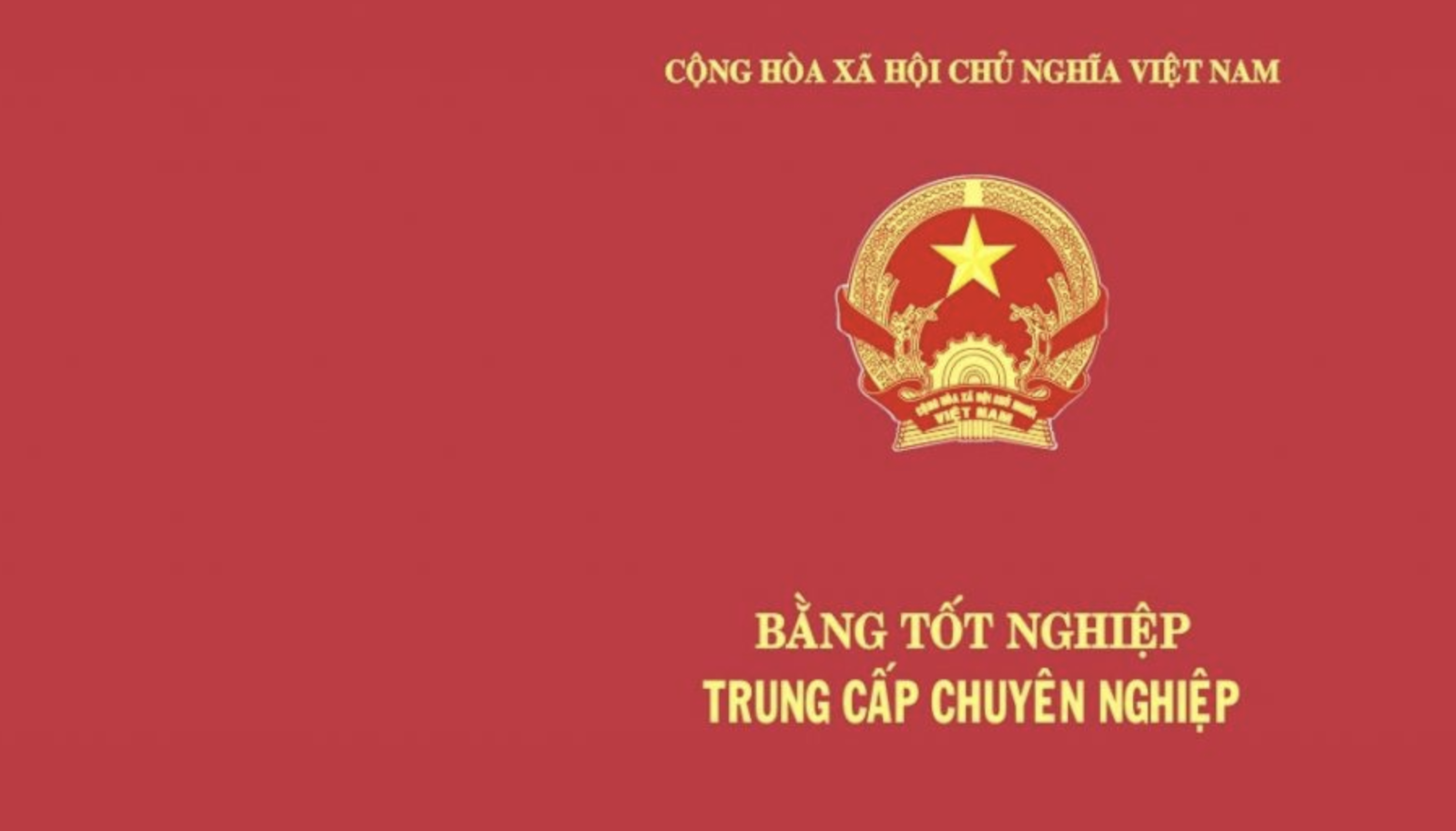 mua-bang-trung-cap-dieu-duong-an-tam-chat-luong-giong-that-100-64